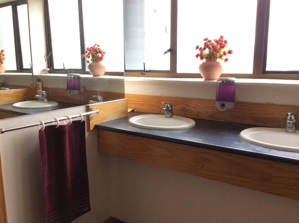 Wild Zebra Backpackers Hostel Ουέλλινγκτον Εξωτερικό φωτογραφία